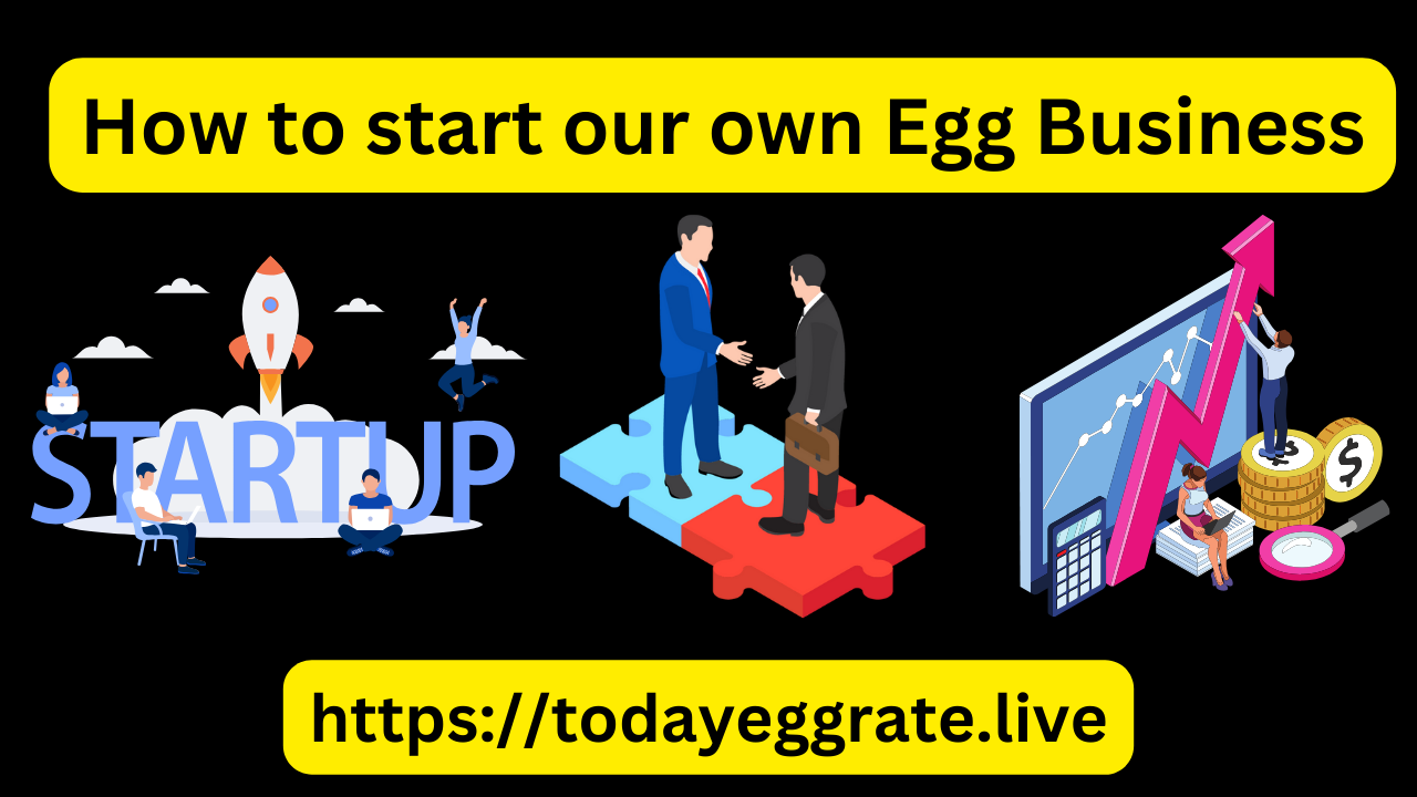 Egg Business